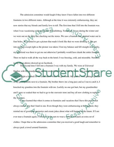 Funny Story Essay Example | Topics and Well Written Essays - 250 words